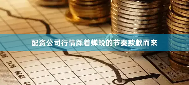 配资公司行情踩着蝉蜕的节奏款款而来