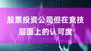 股票投资公司但在竞技层面上的认可度